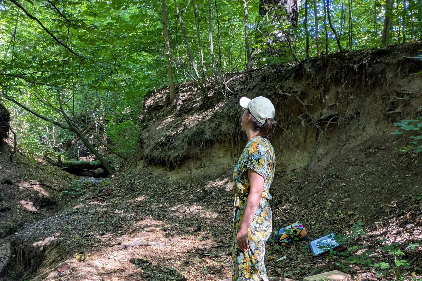 Julia Drowatzky steht in einem Waldhohlweg und schaut nach oben